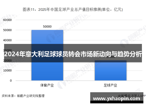 2024年意大利足球球员转会市场新动向与趋势分析