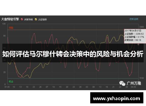 如何评估马尔穆什转会决策中的风险与机会分析