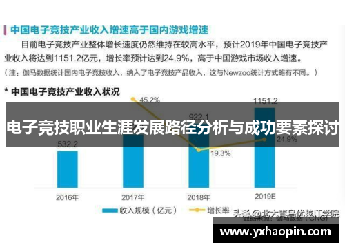 电子竞技职业生涯发展路径分析与成功要素探讨